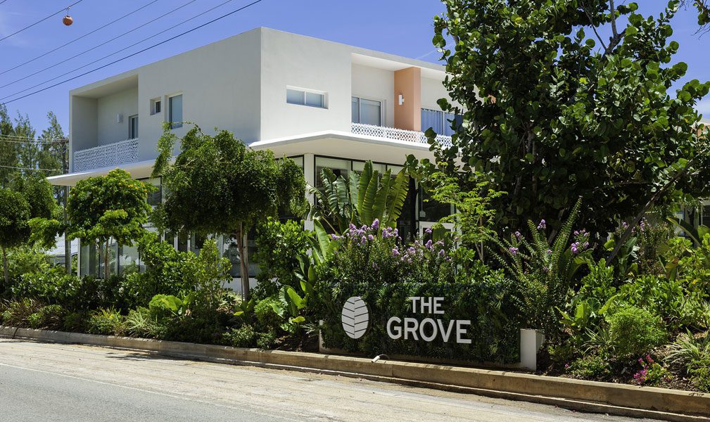 The Grove — project image 5 of 8